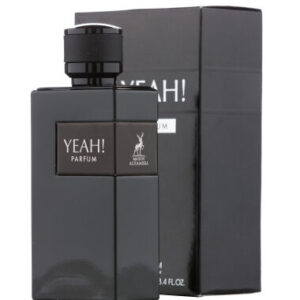 ادکلن یاه پارفوم الحمبرا 100 میل  Yeah Parfum Alhambra (ایو سن لورن وای له پارفوم YSL Y Le Parfum)